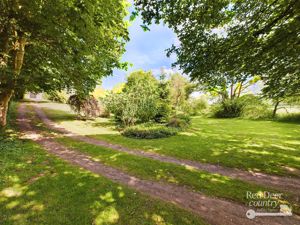 Garden- click for photo gallery